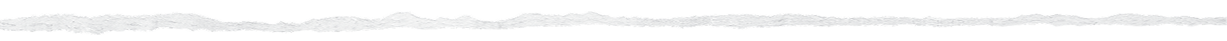 Decoration Graphic